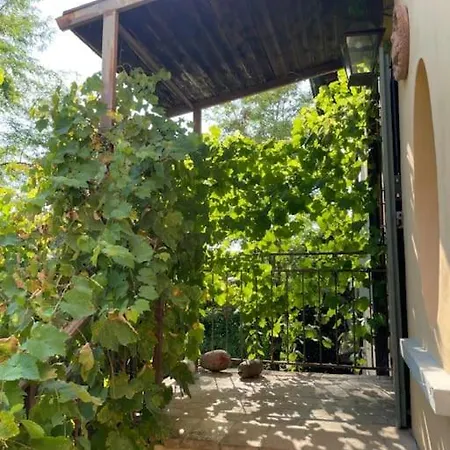 La Grande Quercia Διαμέρισμα San Bartolomeo (Reggio Emilia)