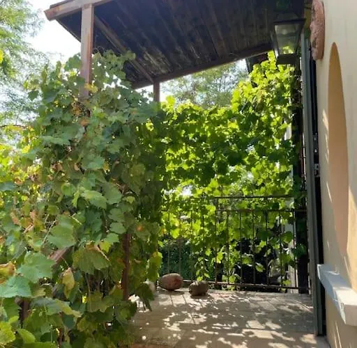 La Grande Quercia Apartment San Bartolomeo (Reggio Emilia)